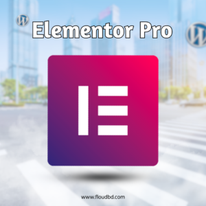 elementor-floudbd.png Elementor Pro Plugin